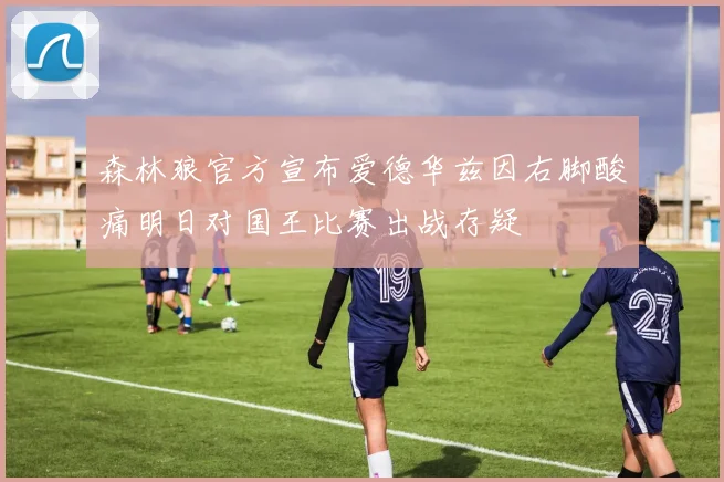 森林狼官方宣布爱德华兹因右脚酸痛明日对国王比赛出战存疑