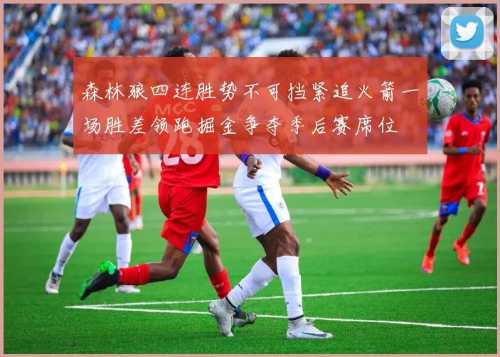 森林狼四连胜势不可挡紧追火箭一场胜差领跑掘金争夺季后赛席位