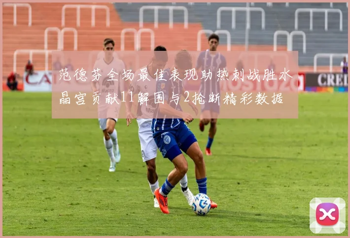 范德芬全场最佳表现助热刺战胜水晶宫贡献11解围与2抢断精彩数据