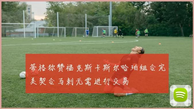 蒂格称赞福克斯卡斯尔哈珀组合完美契合马刺无需进行交易