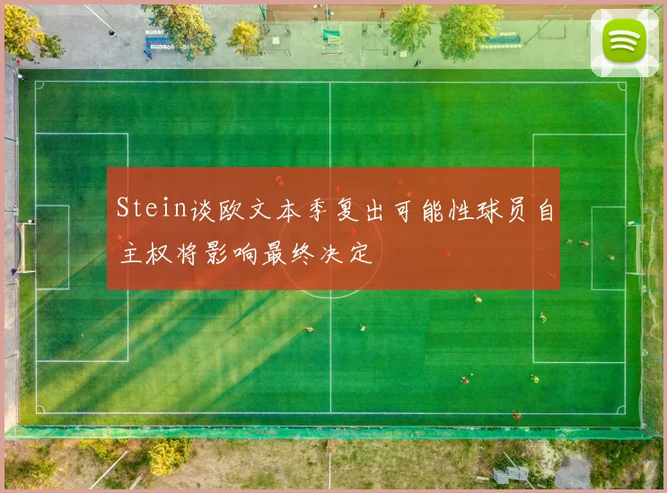 Stein谈欧文本季复出可能性球员自主权将影响最终决定