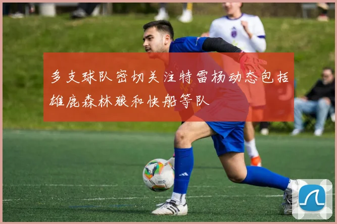 多支球队密切关注特雷杨动态包括雄鹿森林狼和快船等队