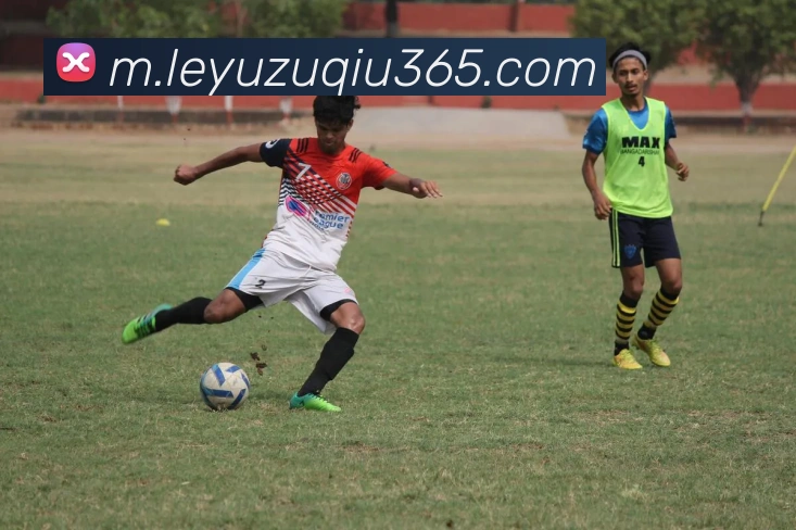 乐鱼体育全站App